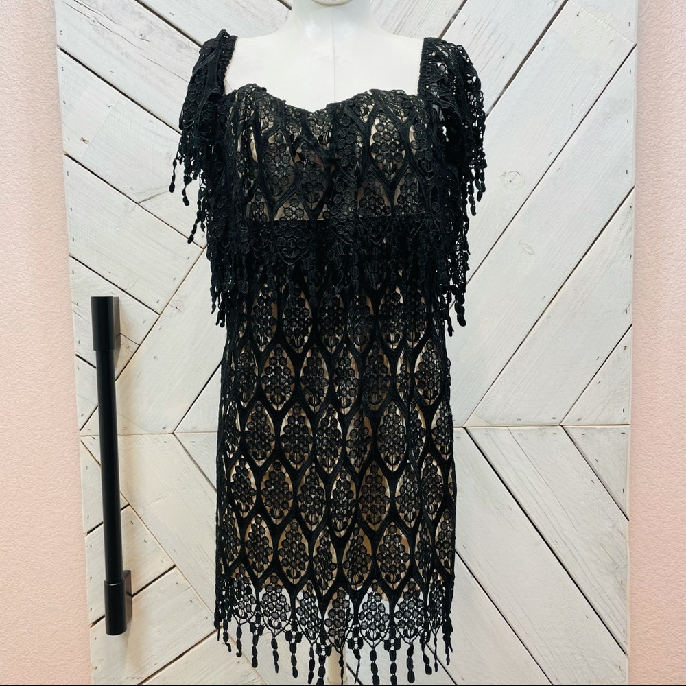 Stone Cold Fox Lace LBD